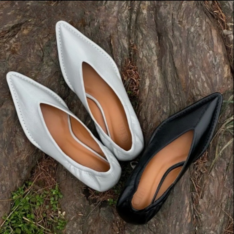 2025 New Pointed Toe Single Sh - Women'S Fashion Spring 2025 ulasan dan harga