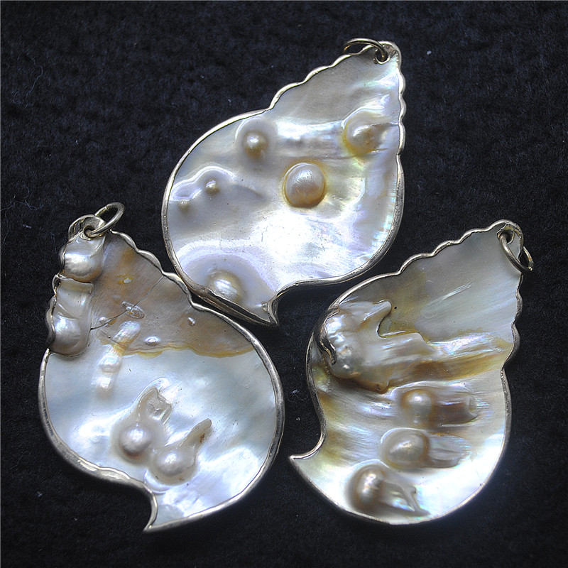 3PCS Nature Shell Pendants Mot - Women Fashion Nz ulasan dan harga