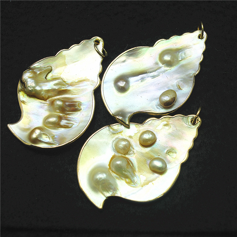 3PCS Nature Shell Pendants Mot - Women Fashion Nz ulasan dan harga